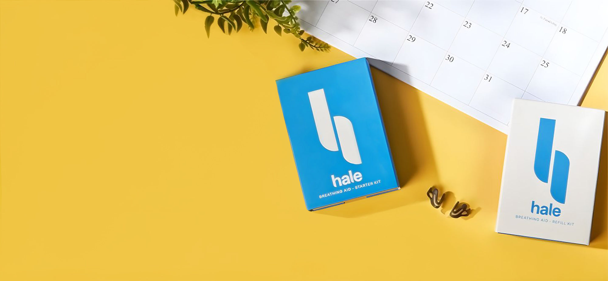Subscription Hale, Inc.